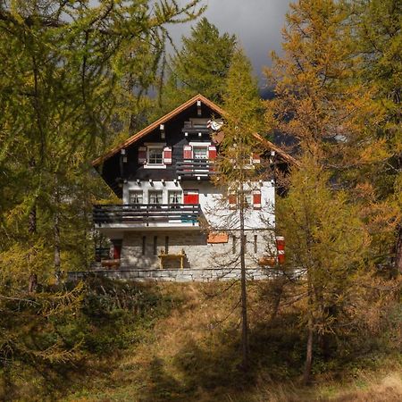 I Larici - Appartamento Per Sognare Alpe Devero Zewnętrze zdjęcie