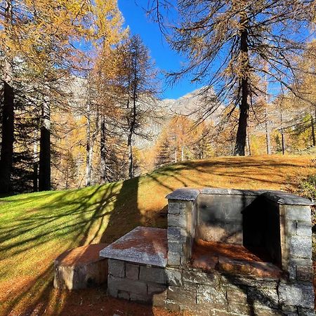 I Larici - Appartamento Per Sognare Alpe Devero Zewnętrze zdjęcie